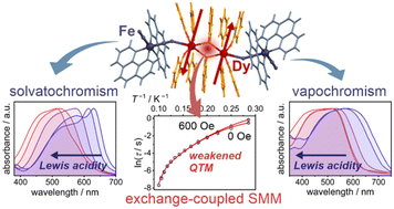 Graphical abstract: Solvato- and vapochromic exchange-coupled Dy2 single-molecule magnets achieved by attaching iron-cyanido metalloligands