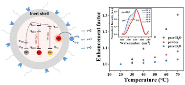 Graphical abstract: Effect of –OH on the thermal enhancement properties of NIR-II lanthanide-doped nanoparticles in water