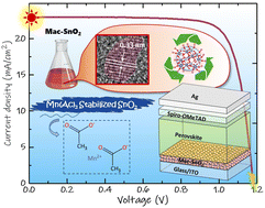 Graphical abstract: Self-assembled manganese acetate@tin dioxide colloidal quantum dots as an electron-transport layer for efficient and stable perovskite solar cells
