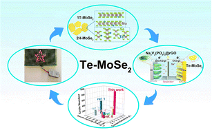 Graphical abstract: Te doped 1T/2H-MoSe2 nanosheets with rich defects as advanced anode materials for high-rate sodium ion half/full batteries