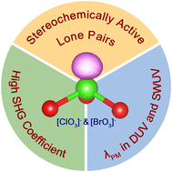Graphical abstract: Discovery of excellent ultraviolet nonlinear optical materials in chlorates and bromates with highly stereochemically active lone pairs