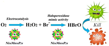 Graphical abstract: A wheel-like polyoxometalate for haloperoxidase-inspired antibiofouling with H2O2in situ provided by electrocatalysis