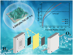 Graphical abstract: Novel NiCoP nanoarray modified by NiFeCo layered double hydroxide quantum dots as highly efficient bifunctional electrocatalysts in anion exchange membrane water electrolysis