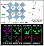 Graphical abstract: Multicolor and multimodal luminescence in an Er3+ single-doped double perovskite for advanced anti-counterfeiting and encryption