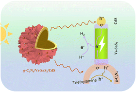 Graphical abstract: Efficient photocatalytic hydrogen evolution of g-C3N4/Vs-SnS2/CdS through a sulfur vacancy-rich SnS2 induced charge storage effect