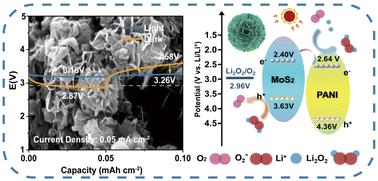 Graphical abstract: Unlocking fast kinetics of n–p-type heterostructured MoS2@PANI photocathode toward robust low-overpotential Li–O2 batteries