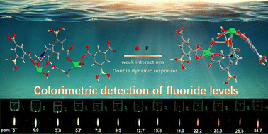 Graphical abstract: Mixed lanthanide–organic frameworks with borono groups for colorimetric detection of excess fluoride levels in rivers