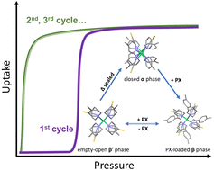 Graphical abstract: Phase switching and shape-memory effect in a molecular material: revisiting the Werner complex [Ni(4-MePy)4(NCS)2]