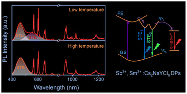 Graphical abstract: Temperature-dependent self-trapped models regulating energy transfer in rare earth double perovskites via 5s2 electron doping