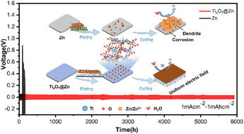 Graphical abstract: Ti4O7 coating creates a highly stable Zn anode for aqueous zinc-ion batteries