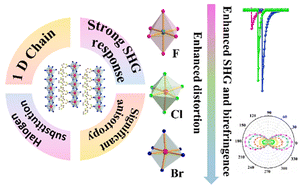 Graphical abstract: Achieving strong second harmonic generation effects induced via dimensional increase of PbX6 octahedra and halogen substitutes in (C10H11N3)PbX4 (X = Cl or Br)
