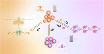 Graphical abstract: Multi-controlled ternary emission of platinum(ii) switches as a visual optical sensor for enzyme and pH detection