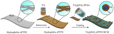 Graphical abstract: A composite proton exchange membrane with a three-dimensionally-reinforced hydrogen bonding network for durable hydrogen fuel cells