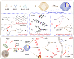 Graphical abstract: Coordination catalysis of metals and polydopamine enables controlled release of CO from MnCO by enhancing oxidative stress and the thermal effect