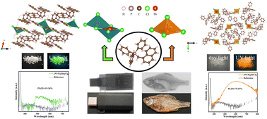 Graphical abstract: Tunable luminescence based on structural regulation in organic antimony halides for X-ray scintillation