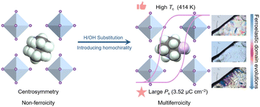 Graphical abstract: H/OH substitution achieving high-temperature multiferroicity in a Sn(iv)-based hybrid perovskite