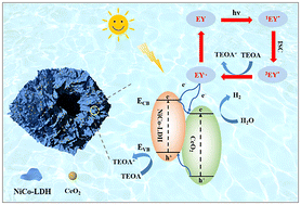 Graphical abstract: In situ formation of CeO2 coupled with hollow NiCo-LDH nanosheets for efficient photocatalytic hydrogen evolution