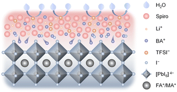 Graphical abstract: Synergistic effect of ionic liquid-doped spiro-OMeTAD: simultaneous management of energy level alignment and interfacial traps in perovskite solar cells