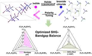 Graphical abstract: Halide-driven polarity tuning and optimized SHG-bandgap balance in (C4H11N2)ZnX3 (X = Cl, Br, I)