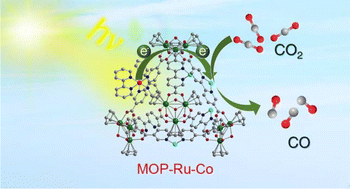 Graphical abstract: Photosensitizing metal–organic polyhedra combined with Co catalytic sites for CO2 photoreduction