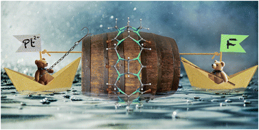 Graphical abstract: Revealing the effect of host–guest complementarity in supramolecular monofunctional platinum(ii) drugs