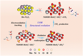 Graphical abstract: Dissecting the role of anions in surface reconstruction in urea oxidation to maximize assisted hydrogen production