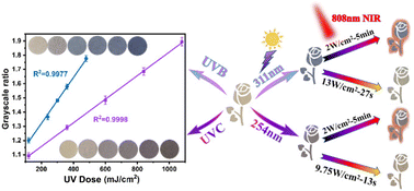 Graphical abstract: Wavelength-selective duotone single-component photochromic gallophosphate-oxalate with multidirectional UVB/UVC/NIR photoswitch electron transfer
