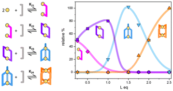 Graphical abstract: Unravelling the formation pathway and energetic landscape of lanthanide cages based on bis-β-diketonato ligands