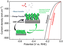 Graphical abstract: Boride-mediated and carbon nanotube-scaffolded synthesis of cobalt-based electrocatalyst for efficient and stable alkaline hydrogen evolution at industrial-scale current density