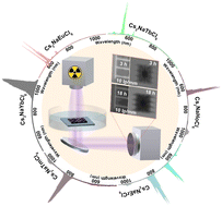 Graphical abstract: Rare earth double perovskites for underwater X-ray imaging applications