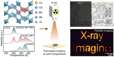 Graphical abstract: Enhancing persistent radioluminescence in perovskite scintillators through trap defect modulation