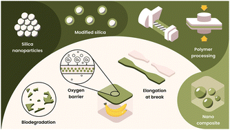 Graphical abstract: Sustainable food packaging using modified SiO2 nanofillers in biodegradable polymers