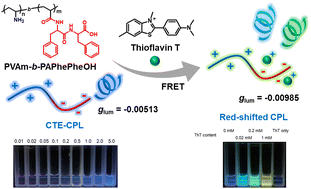 Graphical abstract: Multicolor circularly polarized luminescence: pendant primary amine/diphenylalanine chiral copolymers with clustering-triggered emission