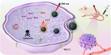 Graphical abstract: A covalent organic framework-based nanoplatform with enhanced photothermal and photodynamic performance for targeted tumor therapy