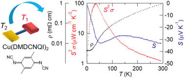 Graphical abstract: Thermoelectric performance of organic conductors