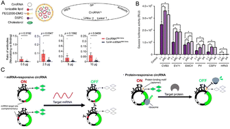 Graphical abstract: Critical considerations of mRNA–LNP technology for CAR-T therapy: components, payloads and emerging horizons