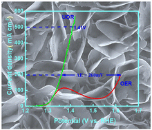 Graphical abstract: Composition regulation of Ni-BDC MOF architecture to enhance electrocatalytic urea oxidation in alkaline solution