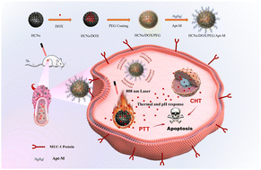 Graphical abstract: Aptamer-functionalized hollow carbon nanospheres for the targeted chemo-photothermal therapy of breast tumor