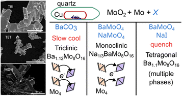 Graphical abstract: Intercluster charge ordering in monoclinic and triclinic Ba–Mo-based hollandite phases