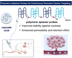 Graphical abstract: Development of polymeric aptamer probes for in vivo continuous precision cancer targeting