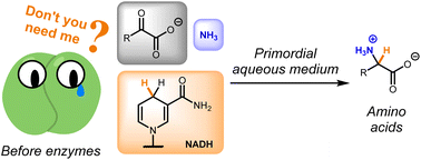 Graphical abstract: NADH-mediated primordial synthesis of amino acids