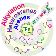 Graphical abstract: Advancement in the C–H bond alkylation of (hetero)arenes catalyzed by the most abundant transition metal–iron