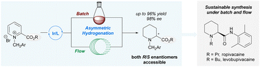 Graphical abstract: Sustainable synthesis of long-acting local anesthetics ropivacaine and levobupivacaine under batch and continuous flow via asymmetric hydrogenation