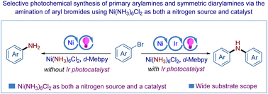Graphical abstract: Selective photochemical synthesis of primary arylamines and symmetric diarylamines via amination of aryl bromides using Ni(NH3)6Cl2 as a nitrogen source and catalyst