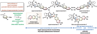 Graphical abstract: Total syntheses of certain asperversiamides, linearly-fused and prenylated indole alkaloids