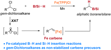 Graphical abstract: Fe-catalyzed B–H and Si–H insertion reactions of gem-dihaloalkanes