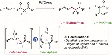 Graphical abstract: Computational insights into the synergistic interplay of ligand and fluorine effects in palladium-catalyzed regiodivergent decarboxylative allylic alkylation