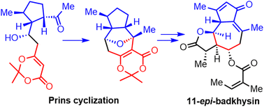 Graphical abstract: Prins cyclization of 1,3-dioxinone: synthesis of 11-epi-badkhysin