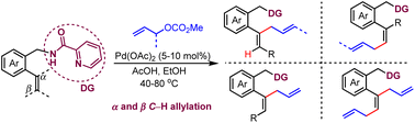 Graphical abstract: Palladium-catalysed α and β C–H allylation of aryl alkenes