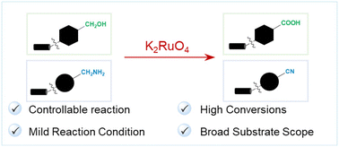 Graphical abstract: DNA-compatible functional group transformations via K2RuO4-mediated oxidation